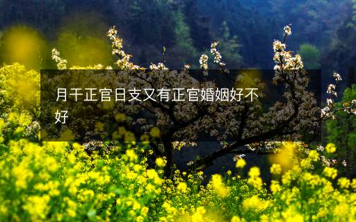 月干正官日支又有正官婚姻好不好