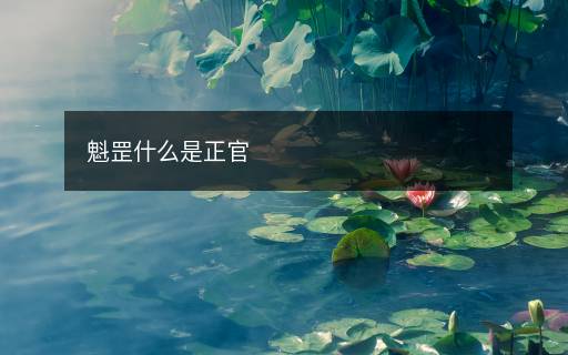 魁罡什么是正官