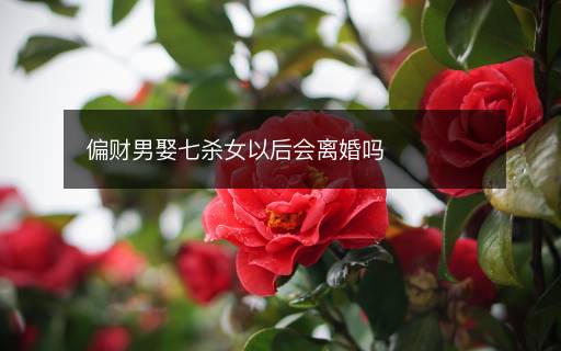 偏財(cái)男娶七殺女以后會(huì)離婚嗎