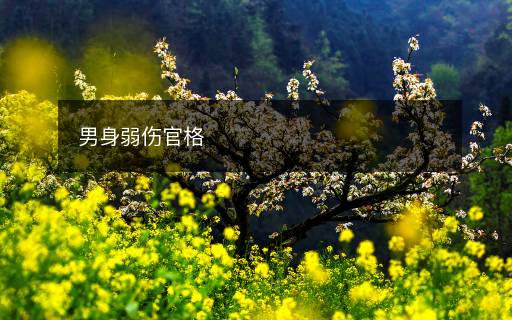 男身弱傷官格
