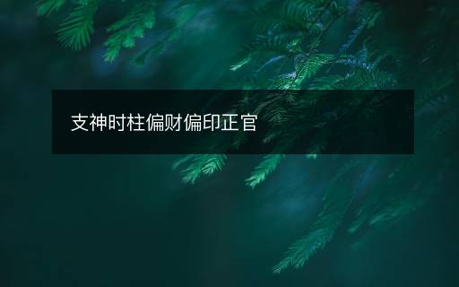 支神時(shí)柱偏財(cái)偏印正官