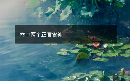 命中兩個(gè)正官食神