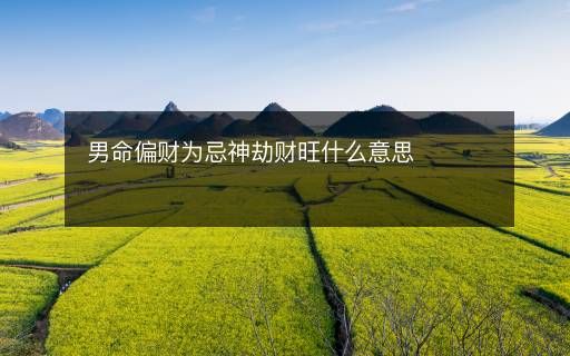 男命偏財(cái)為忌神劫財(cái)旺什么意思