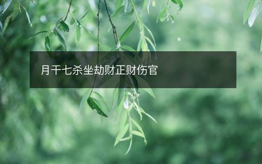 月干七殺坐劫財(cái)正財(cái)傷官