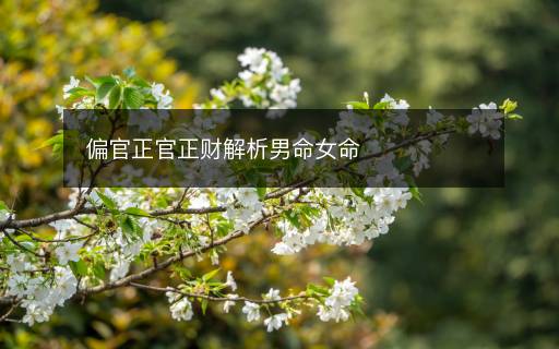 偏官正官正財(cái)解析男命女命