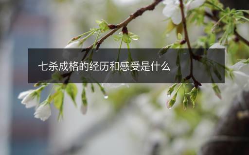 七殺成格的經(jīng)歷和感受是什么