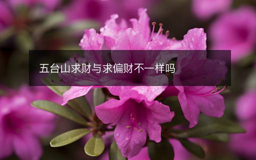 五臺山求財與求偏財不一樣嗎