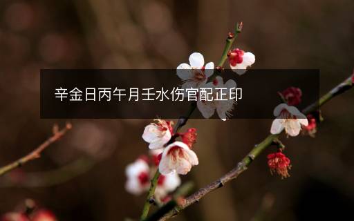 辛金日丙午月壬水傷官配正印