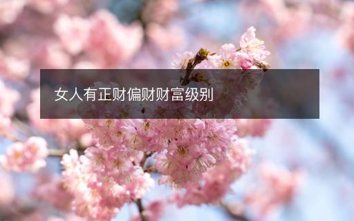女人有正財偏財財富級別