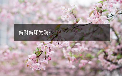 偏財偏印為消神