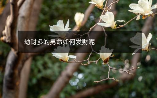 劫財(cái)多的男命如何發(fā)財(cái)呢