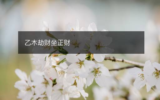 乙木劫財(cái)坐正財(cái)