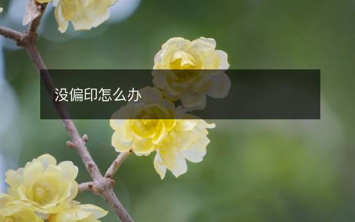 沒偏印怎么辦