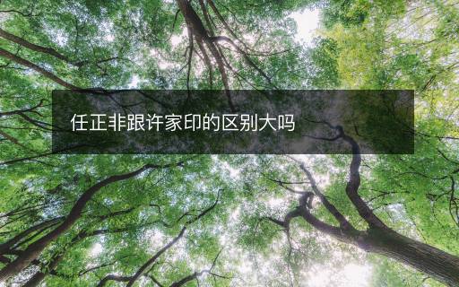 任正非跟許家印的區(qū)別大嗎