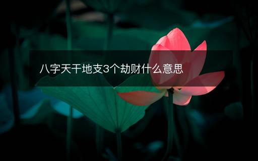 八字天干地支3個劫財什么意思