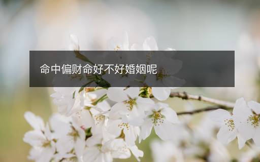 命中偏財(cái)命好不好婚姻呢