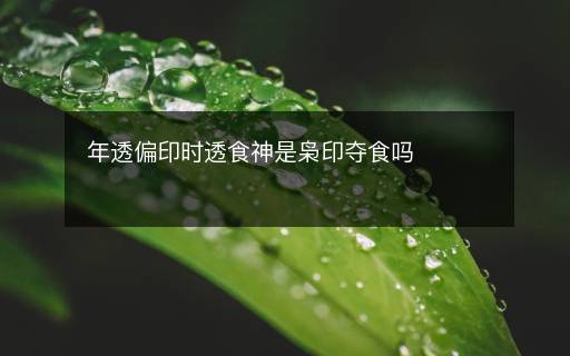 年透偏印時(shí)透食神是梟印奪食嗎