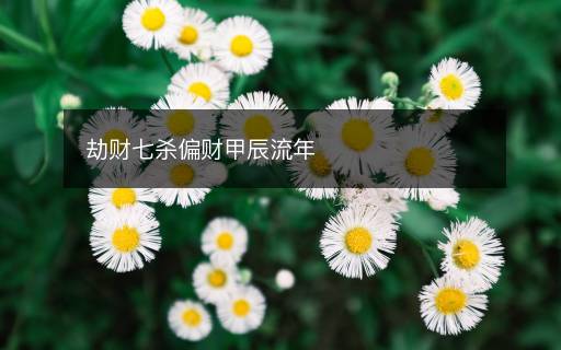 劫財(cái)七殺偏財(cái)甲辰流年