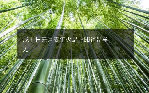 戊土日元月支午火是正印還是羊刃