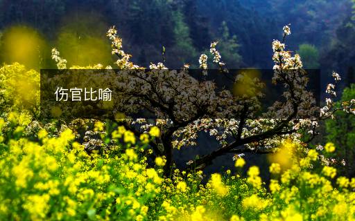 傷官比喻