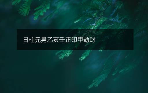 日柱元男乙亥壬正印甲劫財(cái)