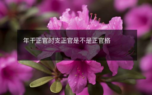 年干正官時支正官是不是正官格