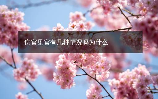 傷官見官有幾種情況嗎為什么