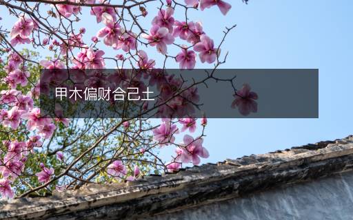 甲木偏財合己土