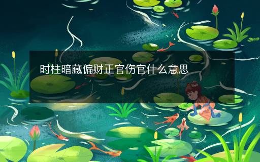 時(shí)柱暗藏偏財(cái)正官傷官什么意思
