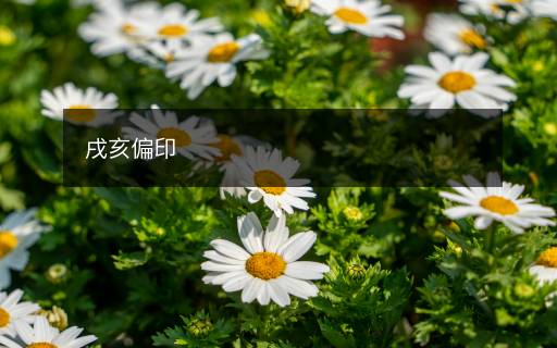 戌亥偏印