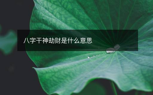 八字干神劫財是什么意思