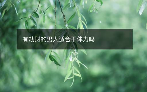 有劫財?shù)哪腥诉m合干體力嗎
