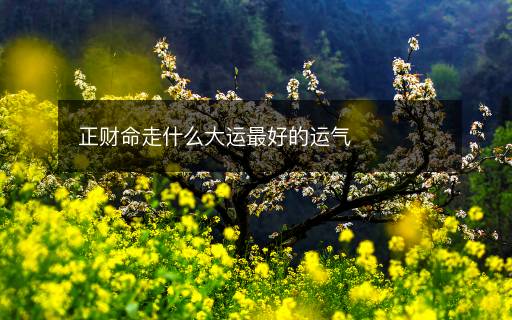 正財(cái)命走什么大運(yùn)最好的運(yùn)氣