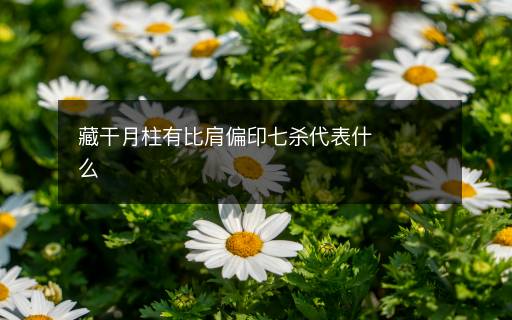 藏干月柱有比肩偏印七殺代表什么