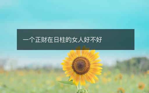一個正財在日柱的女人好不好