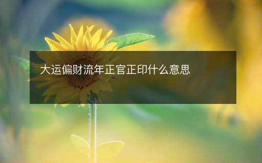大運(yùn)偏財(cái)流年正官正印什么意思