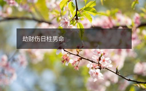 劫財傷日柱男命