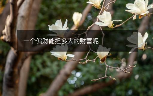 一個偏財能擔多大的財富呢
