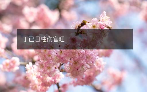 丁已日柱傷官旺