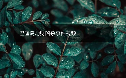 巴厘島劫財兇殺事件視頻