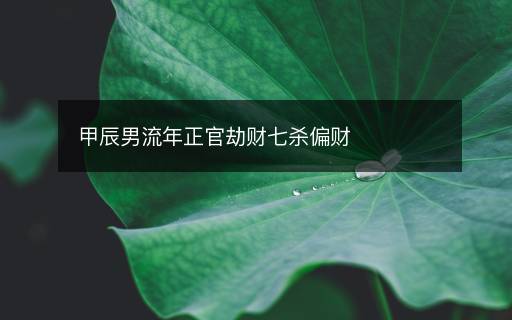 甲辰男流年正官劫財七殺偏財