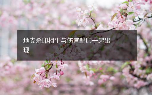 地支殺印相生與傷官配印一起出現(xiàn)