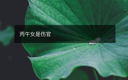 丙午女是傷官