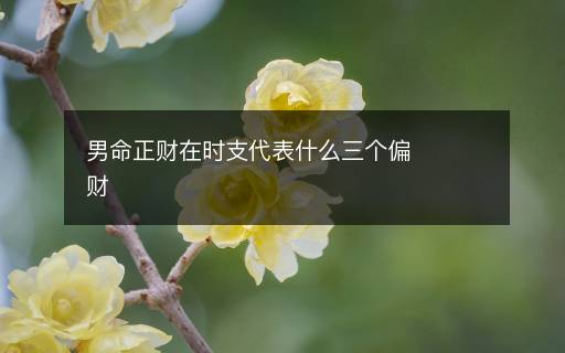 男命正財在時支代表什么三個偏財