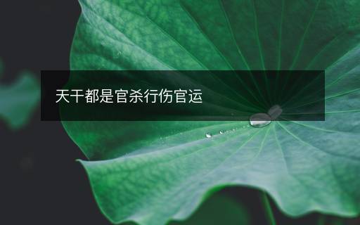 天干都是官殺行傷官運(yùn)