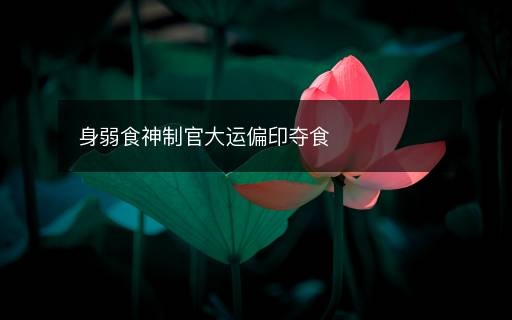 身弱食神制官大運(yùn)偏印奪食