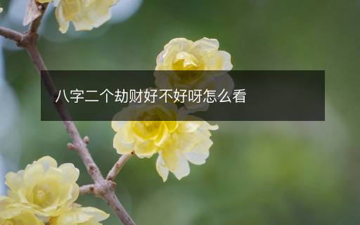 八字二個劫財好不好呀怎么看