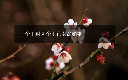 三個(gè)正財(cái)兩個(gè)正官女命婚姻