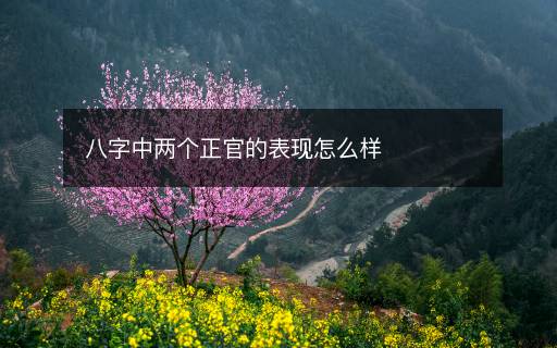 八字中兩個(gè)正官的表現(xiàn)怎么樣