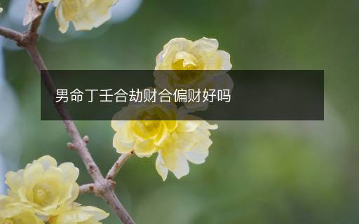 男命丁壬合劫財(cái)合偏財(cái)好嗎